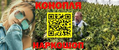 гидра Гусиноозёрск