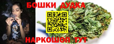 гидра Гусиноозёрск