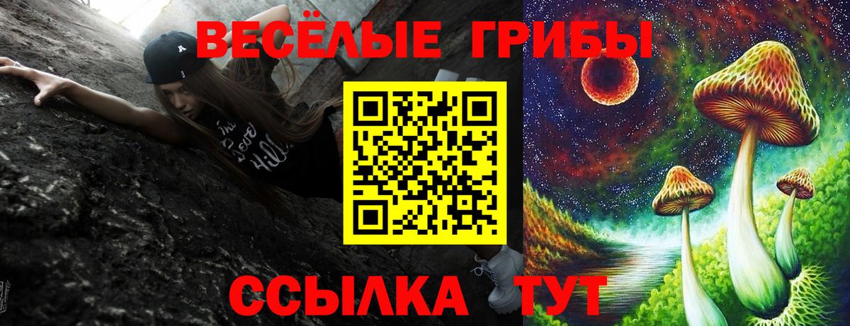 Дзержинск  Галлюциногенные грибы мицелий  Вход с VPN  Псилоцибиновые грибы мицелий 